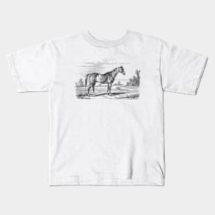 Horse in a landscape Kids T-Shirt